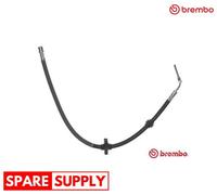 BRAKE HOSE FOR PEUGEOT 407 508 BREMBO T 61 059