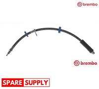 BRAKE HOSE FOR PEUGEOT EXPERT BREMBO T 23 193