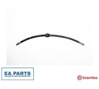 Brake Hose for RENAULT GRAND SCÉNIC BREMBO T 68 095