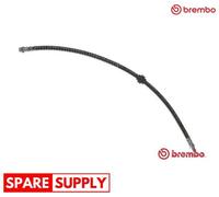 BRAKE HOSE FOR RENAULT MASTER BREMBO T 59 078