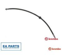 Brake Hose for RENAULT MASTER BREMBO T 59 078