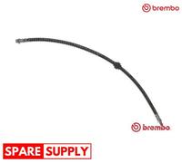BRAKE HOSE FOR RENAULT MASTER BREMBO T 59 078