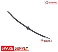 BRAKE HOSE FOR RENAULT MASTER BREMBO T 68 089