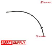 New Brake Hose for SEAT VW:SHARAN,ALHAMBRA 7N0611701