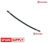 BRAKE HOSE FOR SUZUKI CARIBIAN CABRIO CARIBIAN, KATANA, SJ410 BREMBO T 79 006