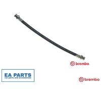 Brake Hose for SUZUKI CARIBIAN KATANA SJ410 BREMBO T 79 006