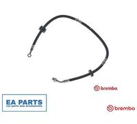 Brake Hose for SUZUKI X-90 BREMBO T 79 009