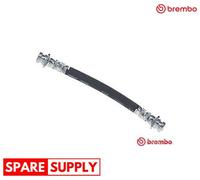 BRAKE HOSE FOR TOYOTA ALTIS AURIS COROLLA ALTIS GRAND PRIUS + BREMBO T 83 177