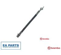 Brake Hose for TOYOTA ALTIS BREMBO T 83 160