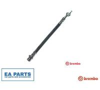 Brake Hose for TOYOTA AURIS BREMBO T 83 160