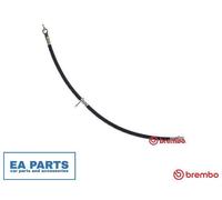 Brake Hose for TOYOTA ECHO BREMBO T 83 091
