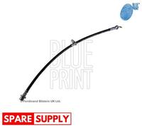 BRAKE HOSE FOR TOYOTA ECHO IST PROBOX BLUE PRINT ADT353164 FITS FRONT AXLE LEFT