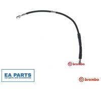 Brembo Brake Hose T 85 158 Front for VW Passat B7/B8 Alltrack Magotan Golf VII 1.8L