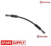 BRAKE HOSE FOR VW BEETLE BEETLE, BEETLE CARIBE LT 28-35 BREMBO T 85 044