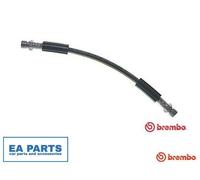 Brake Hose for VW BEETLE BEETLE BEETLE CARIBE LT 28-35 BREMBO T 85 044