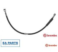 Brake Hose for VW PASSAT BREMBO T 85 128