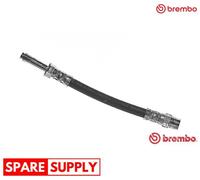 BRAKE HOSE FOR VW SHARAN BREMBO T 24 099