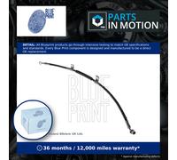 Genuine Blue Print Brake Hose (Front RH) fits Kia 5.87323E+205