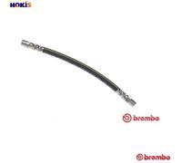 BRAKE HOSE T 06 005 FOR BMW 3/Compact/E6/Sedan/Convertible/E46 M43B19 M44B19