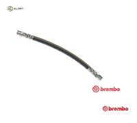 T 06 005 BREMBO Brake Hose for BMW