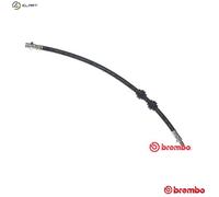 Brembo Brake Hose T 06 011 – Fits BMW 5/E39 Sedan M54B30 M54B25 M52B25 M57D30