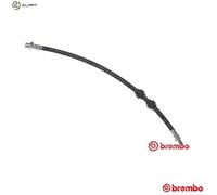 Brembo Brake Hose T 06 011 – Fits BMW 5/E39 Sedan M54B30 M54B25 M52B25 M57D30