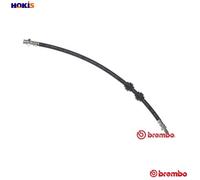 Brembo Brake Hose T 06 011 – Fits BMW 5/E39 Sedan M54B30 M54B25 M52B25 M57D30