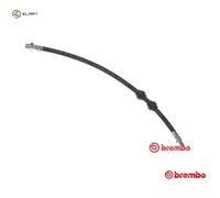 BRAKE HOSE T 06 011 FOR BMW M47D20 2.0L 4cyl 5 E39 M57D25 M51D25 2.5L M54B30