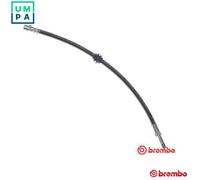 Brembo Brake Hose T 06 012 – Front – BMW 3 (E46/Compact/Convertible), Z4 (E85/E86) M43B19 1.9L