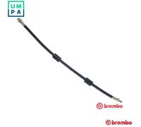 BRAKE HOSE T 06 013 FOR BMW X5/SAV/E53 M57D30 M54B30 3.0L M57D30 2.9L 6cyl 4.6L