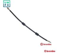 Brembo Brake Hose T 06 013 Fits BMW X5 E53 N62B48A N62B44A M62B44 M62B46 4.8/4.4/4.6L