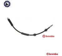 Brembo Brake Hose ESSENTIAL LINE T 06 030 - Front for BMW 3 (E90/E91), 1 (E87/F20)