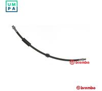 Brembo Brake Hose T 06 038 - Rear - Fits MINI Clubman 1.6L (N47C16A, N18B16A/B16C)