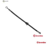 Brembo Brake Hose T 10 003 – Fits Chevrolet/Daewoo Aveo, Kalos, Gentra, Lova 1.2L