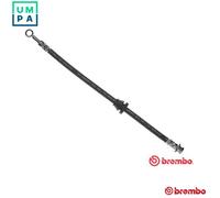 Brembo Brake Hose T 10 003 – Fits Chevrolet/Daewoo Aveo, Kalos, Gentra, Lova 1.2L
