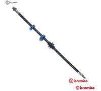 BRAKE HOSE T 23 034 FOR ALFA ROMEO AR32310/32301 932A2.000 937A1.000 2.0L 4cyl