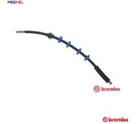 BRAKE HOSE T 23 040