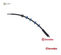 BRAKE HOSE T 23 040 FOR FIAT SEICENTO/600/Hatchback/Van CINQUECENTO 0.7L 2cyl
