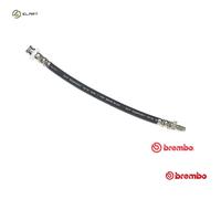 BRAKE HOSE FOR FIAT PANDA/Hatchback/Van STILO/Multi/Wagon ALFA ROMEO 155 0.8L