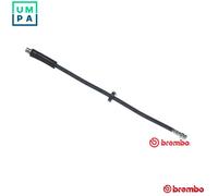 Flexible brake hose T 23 049 BREMBO for FIAT PANDA DOBLO Box Body/MPV DOBLO MPV