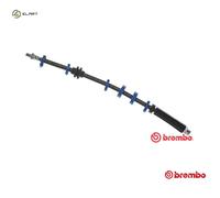 BRAKE HOSE FOR FIAT PUNTO/Convertible/Van BARCHETTA LANCIA Y10 1.1L 4cyl PUNTO