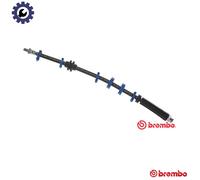Brembo Brake Hose T 23 112 for Fiat Punto / Barchetta / Lancia Y10 1.1L 4cyl