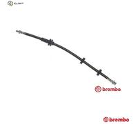 BRAKE HOSE T 23 137 FOR ALFA ROMEO FIAT AR32310/32301 932A2.000 937A1.000 2.0L