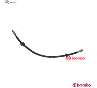 BRAKE HOSE T 23 185 FOR FIAT DUCATO/Bus/Van/Platform/Chassis CITROËN 2.3L 4cyl