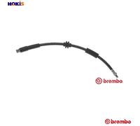 BRAKE HOSE FOR FORD C-MAX/FOCUS HONDA CIVIC/Fastback/Hatchback/Aerodeck/Mk 1.8L