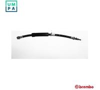 BREMBO T 24 165 Brake hose