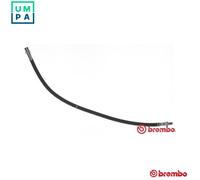 Flexible brake hose T 50 033 BREMBO for MERCEDES-BENZ VITO Bus V-CLASS VITO Van