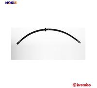 BRAKE HOSE T 52 064 FOR MG ROVER 18 K4G 1.8L 18 K4F 1.8L 204D2 2.0L 4cyl 2.5L 75