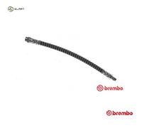 BRAKE HOSE FOR RENAULT TRAFIC/II/Bus/Van/Platform/Chassis/Rodeo/III OPEL 4cyl
