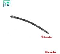 BRAKE HOSE FOR RENAULT TRAFIC/II/Bus/Van/Platform/Chassis/Rodeo/III OPEL 4cyl